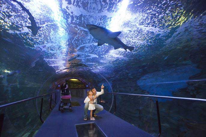 AQUARIUM DONOSTIA-SAN SEBASTIÁN