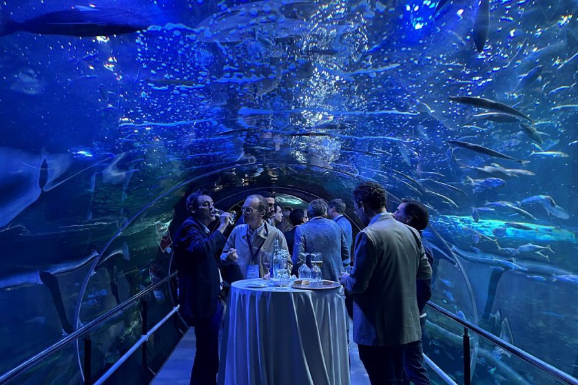 visita-aquarium