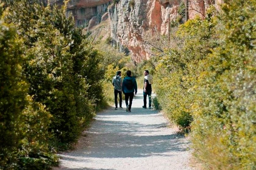 camino santiago