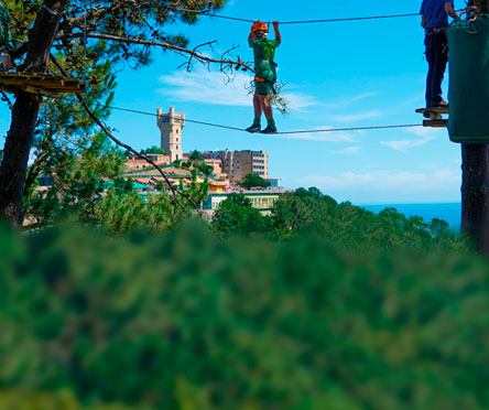 Parque Aventura. Tirolinas y Arborismo.