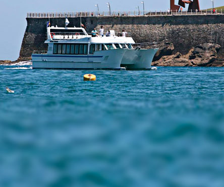 Catamarán Bahía Donostia