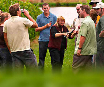 Dégustation de vins