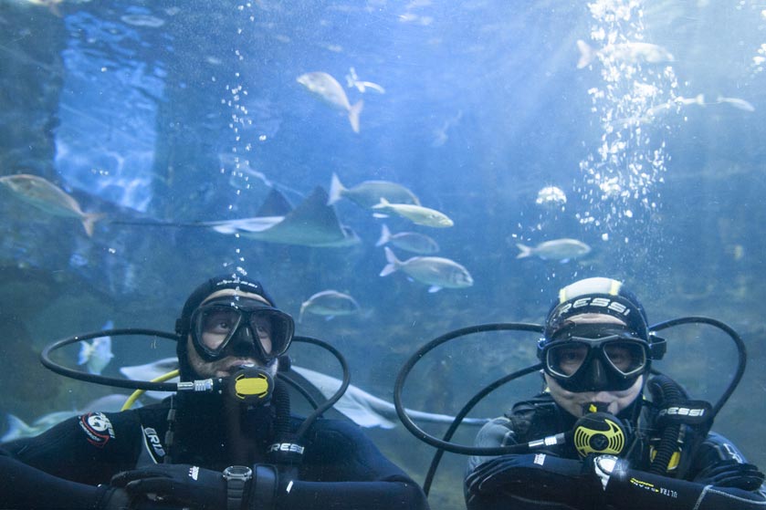 visita-aquarium-buzos