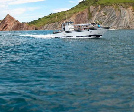 Ruta en barco al flysch de Zumaia