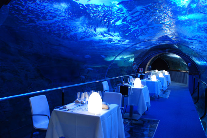 OCEANARIO