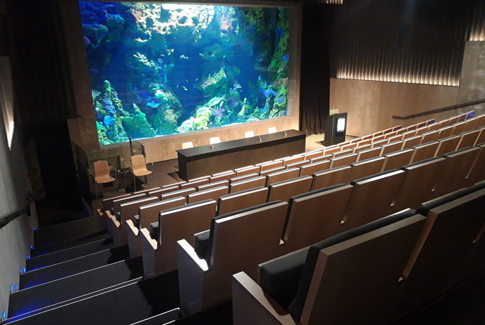 AUDITORIO