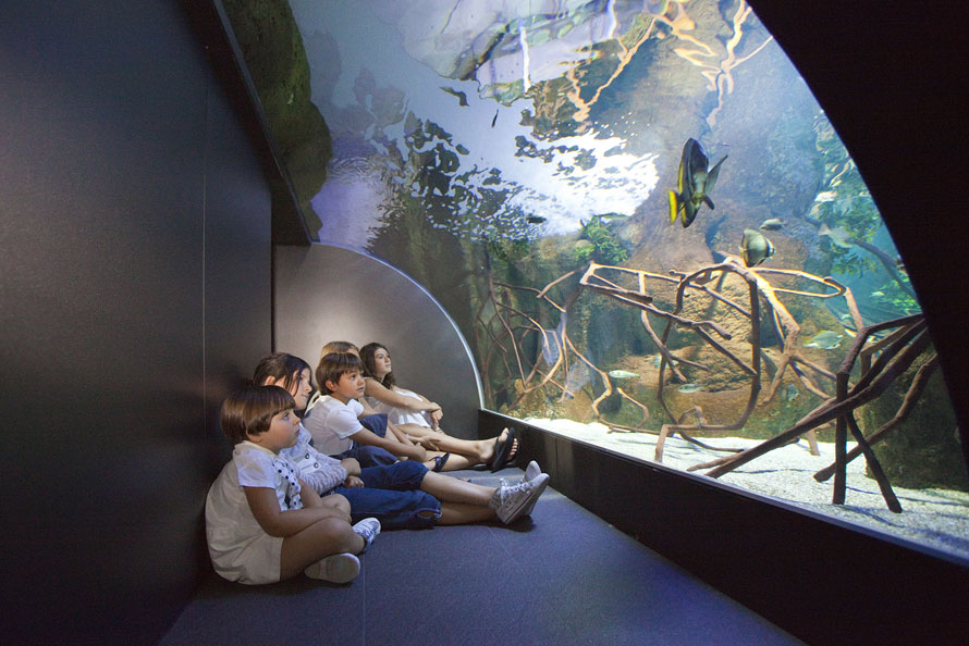 AQUARIUM DONOSTIA-SAN SEBASTIÁN