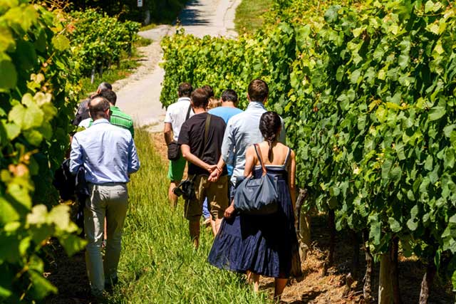 HIRUZTA BODEGA