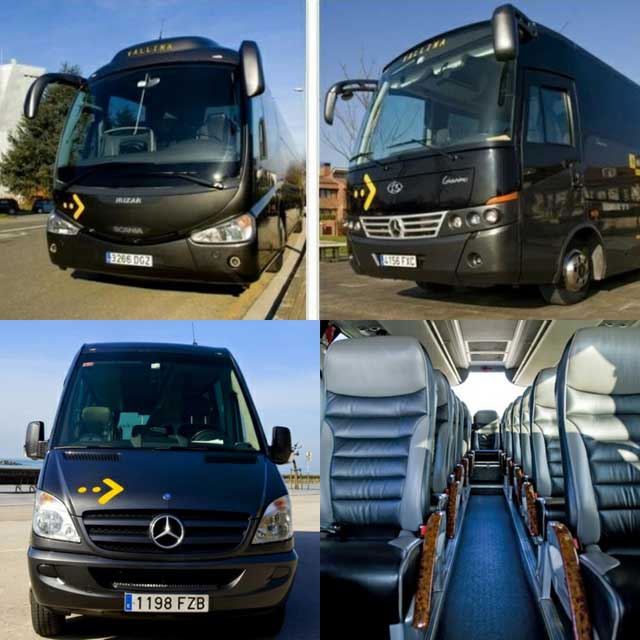 VALLINA BUS-AUTO