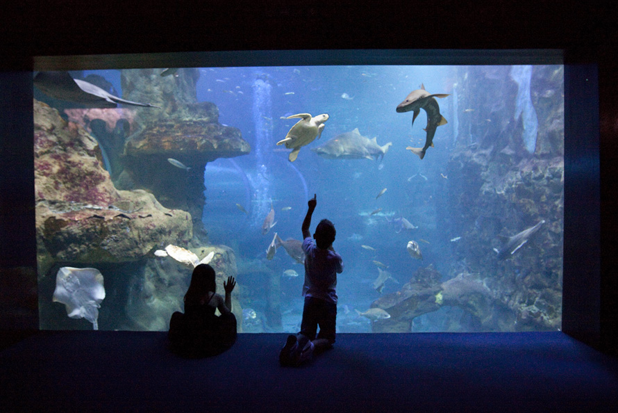 AQUARIUM DONOSTIA-SAN SEBASTIÁN